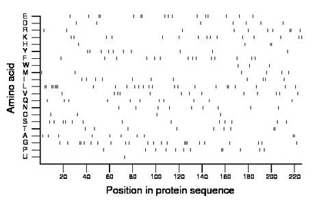 amino acid map