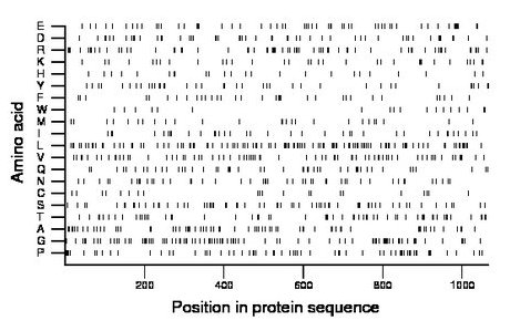 amino acid map