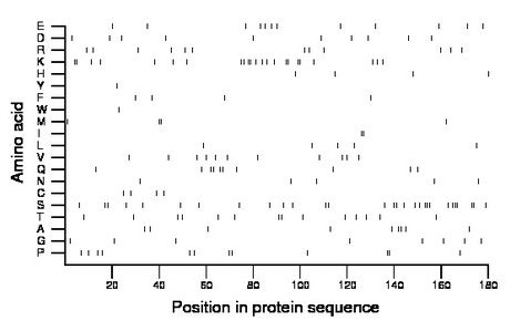 amino acid map