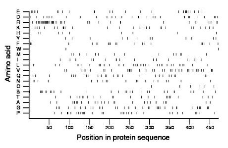 amino acid map