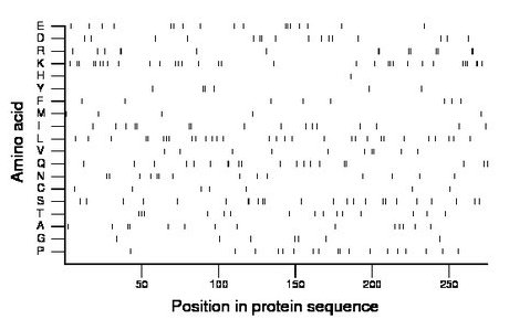 amino acid map