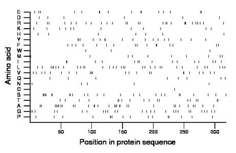 amino acid map