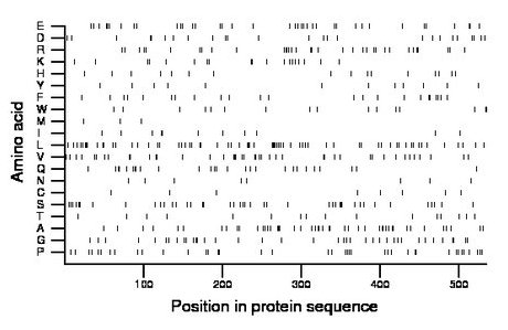 amino acid map