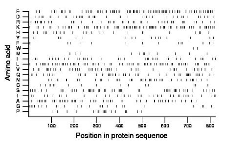 amino acid map