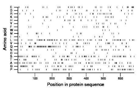 amino acid map