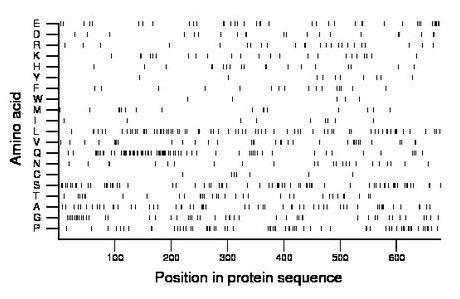 amino acid map