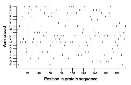 amino acid map