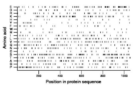 amino acid map