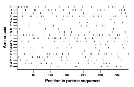 amino acid map