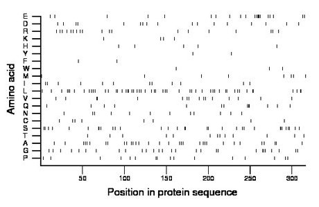 amino acid map