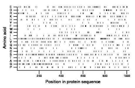 amino acid map