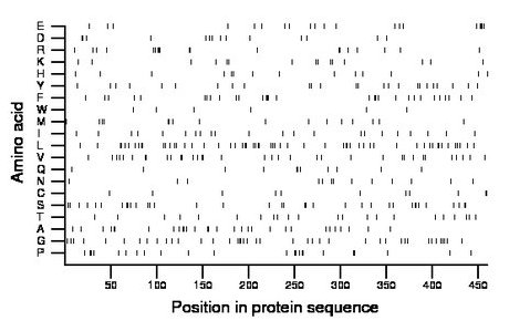 amino acid map