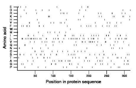 amino acid map