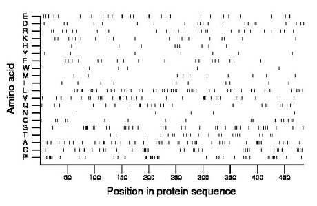 amino acid map