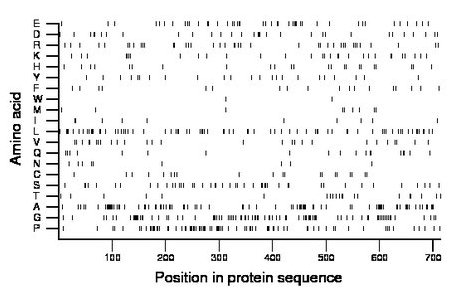 amino acid map