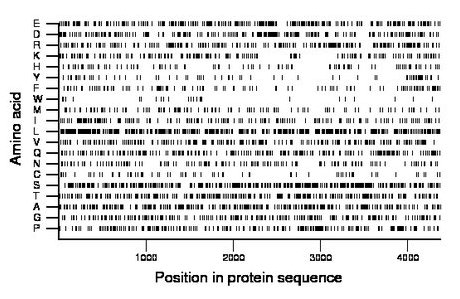 amino acid map