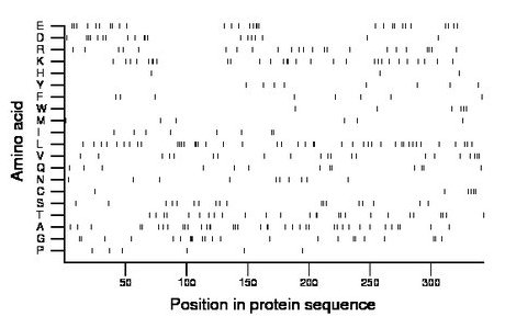 amino acid map