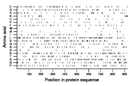 amino acid map