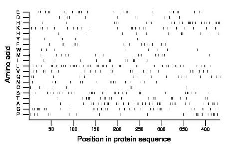 amino acid map