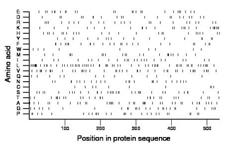 amino acid map