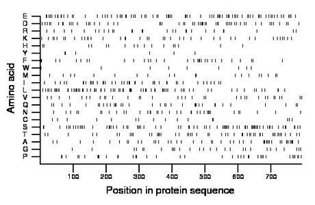 amino acid map