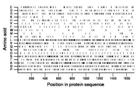 amino acid map