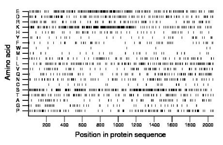 amino acid map