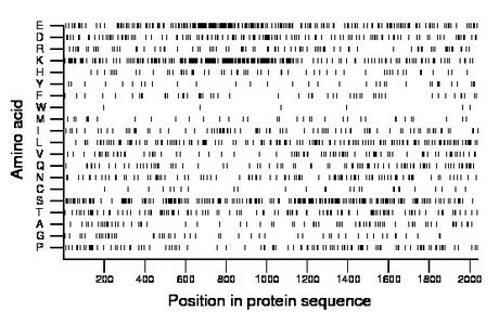 amino acid map