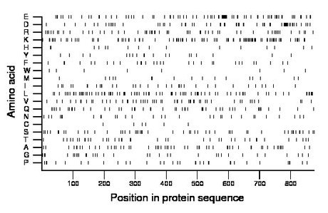 amino acid map