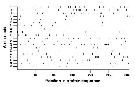 amino acid map