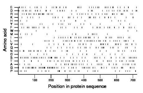 amino acid map