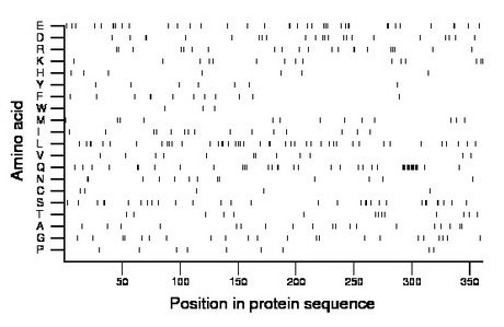 amino acid map