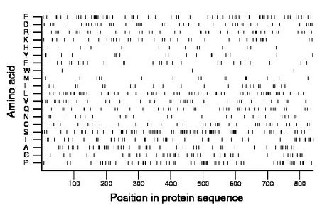 amino acid map