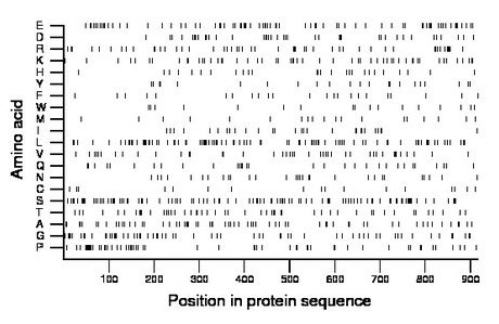 amino acid map