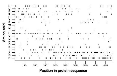 amino acid map