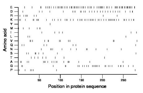 amino acid map