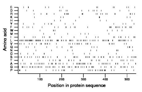 amino acid map