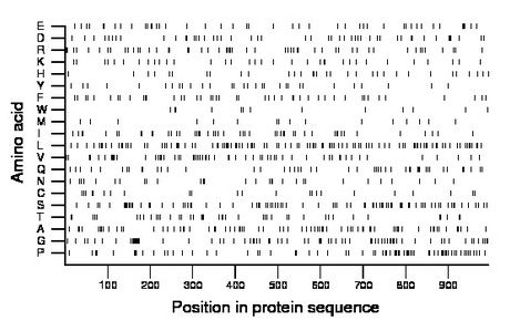 amino acid map