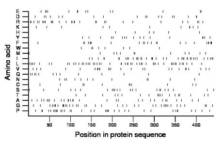 amino acid map