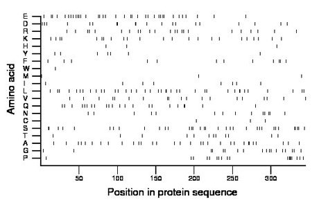 amino acid map