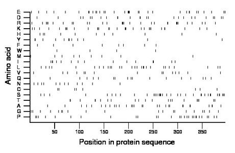 amino acid map