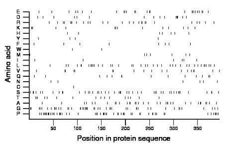 amino acid map