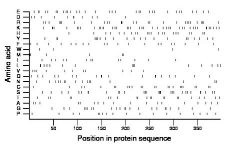 amino acid map