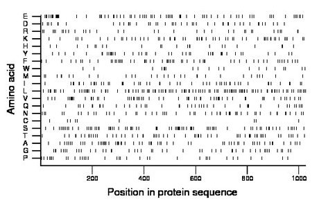 amino acid map