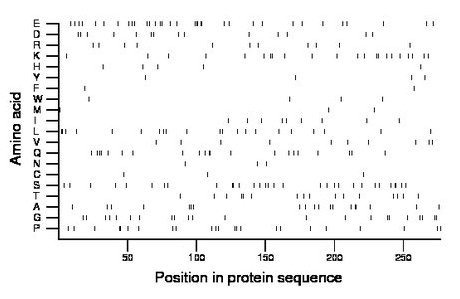 amino acid map