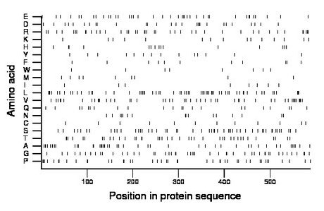 amino acid map