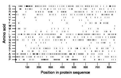 amino acid map