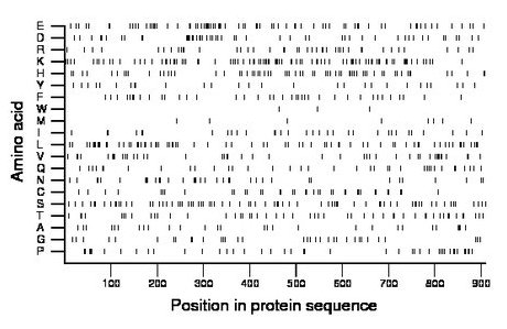 amino acid map