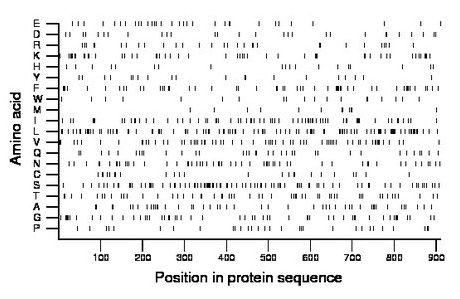 amino acid map