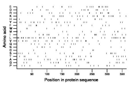 amino acid map